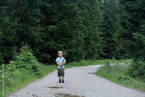 Cute kid walks through the woods with a stick in summer. High quality photo