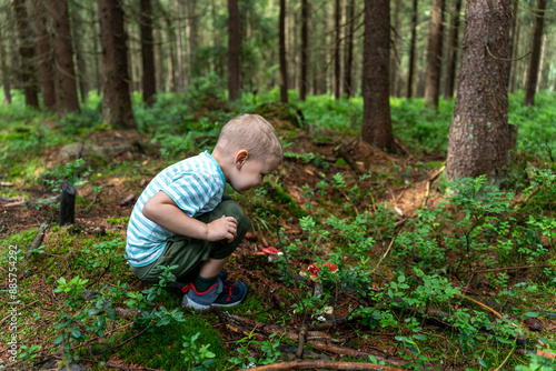 Young boy exploring forest floor while picking mushrooms on a nature adventure. Concept of outdoor education, childhood curiosity, and nature exploration . High quality photo