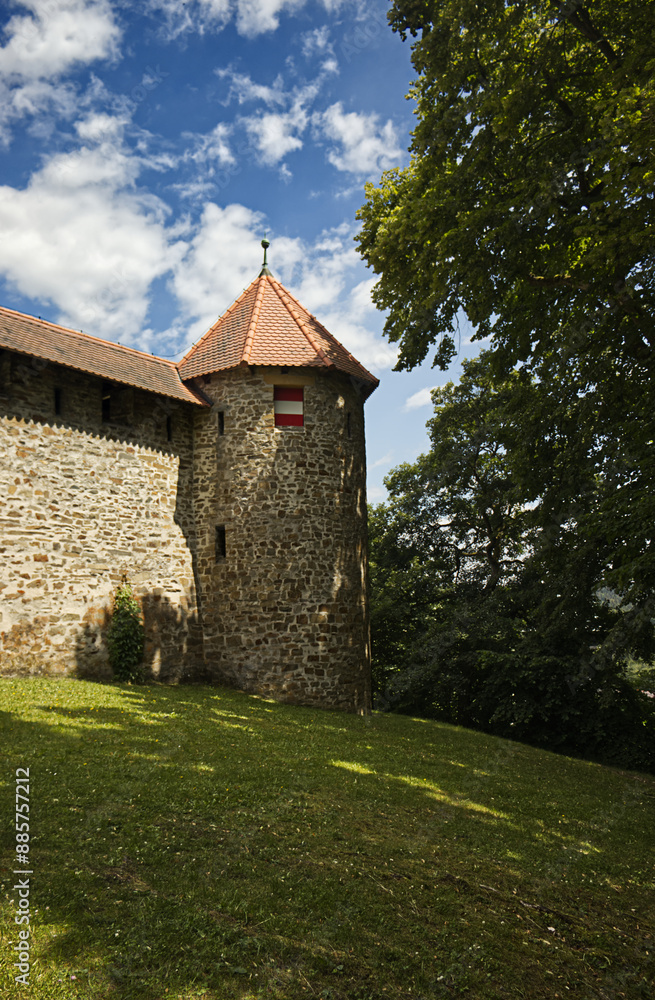 A stone wall on a grassy hill. A wall with a tower. Castle defense, ancient culture. Trees, grass, blue sky with clouds. A stone wall on a grassy hill. A wall with a tower. Castle defense, ancient culture. Trees, grass, blue sky with clouds.