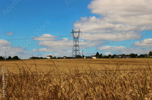 Un poteau électrique derrière un champs de blé photo