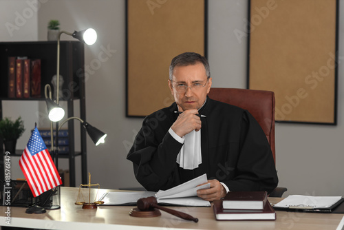Mature judge working with c...