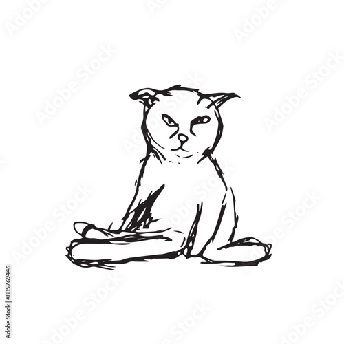 Black and white draw cat. Hand drawn kitten, doodle sketchy stray cat, grunge cat drawing, pet art, scribble animals