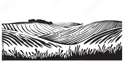 rural field with ripe wheat village and clouds. vector illustration