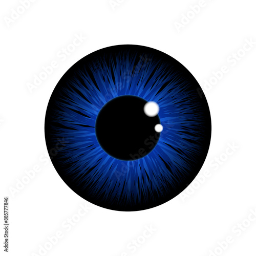 Eye iris in blue color