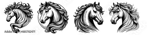 vintage horse portrait sketches in line art black and white vector set
