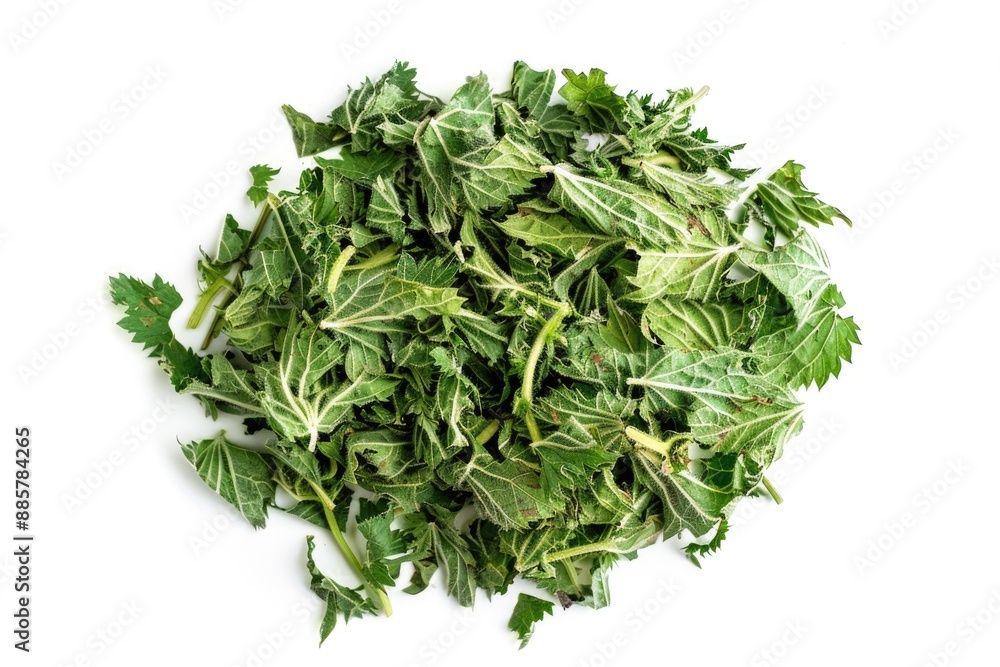 Fototapeta premium A pile of leafy greens on a white surface