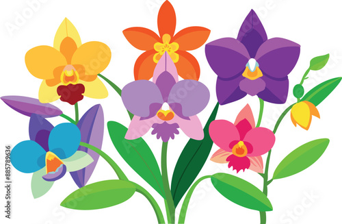 Bright and vibrant illustration of various orchid flowers with green leaves on a white background, perfect for floral designs and decor