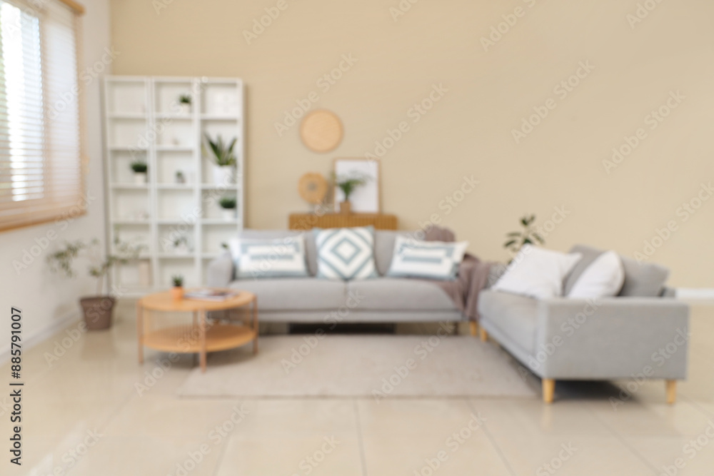 Interior of living room with comfortable sofa, coffee table, shelving unit and houseplant, blurred view Interior of living room with comfortable sofa, coffee table, shelving unit and houseplant, blurred view