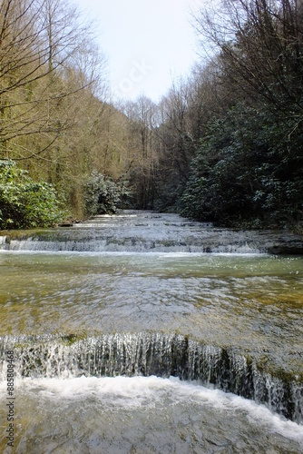 The river