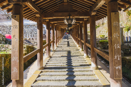 Historic temples and shrines that herald the arrival of autumn【Hase-dera Temple】