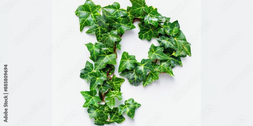 A single layer of green leaves sitting on a white surface, simple and elegant A single layer of green leaves sitting on a white surface, simple and elegant