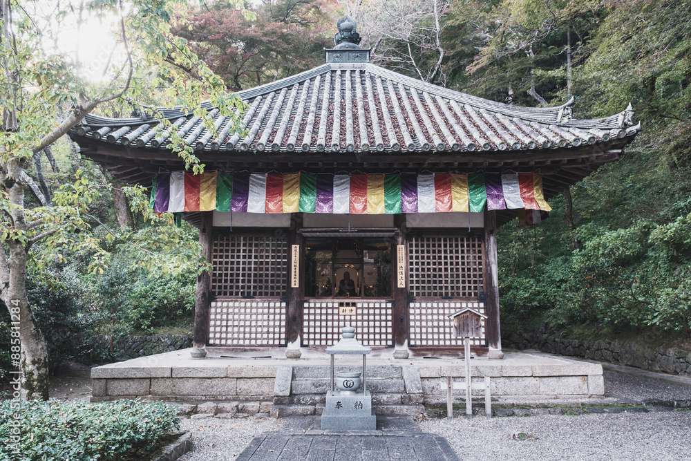 Historic temples and shrines that herald the arrival of autumn【Hase-dera Temple】 Historic temples and shrines that herald the arrival of autumn【Hase-dera Temple】