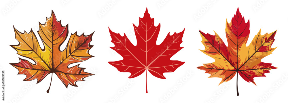 Autumn leaf illustration set, Generative Ai Autumn leaf illustration set, Generative Ai