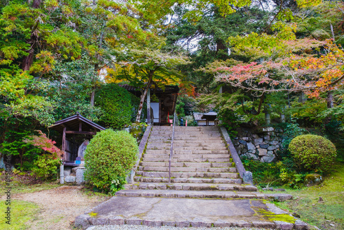 A temple where the surrounding area is painted in vibrant red autumn leaves【Chogakuji Temple】