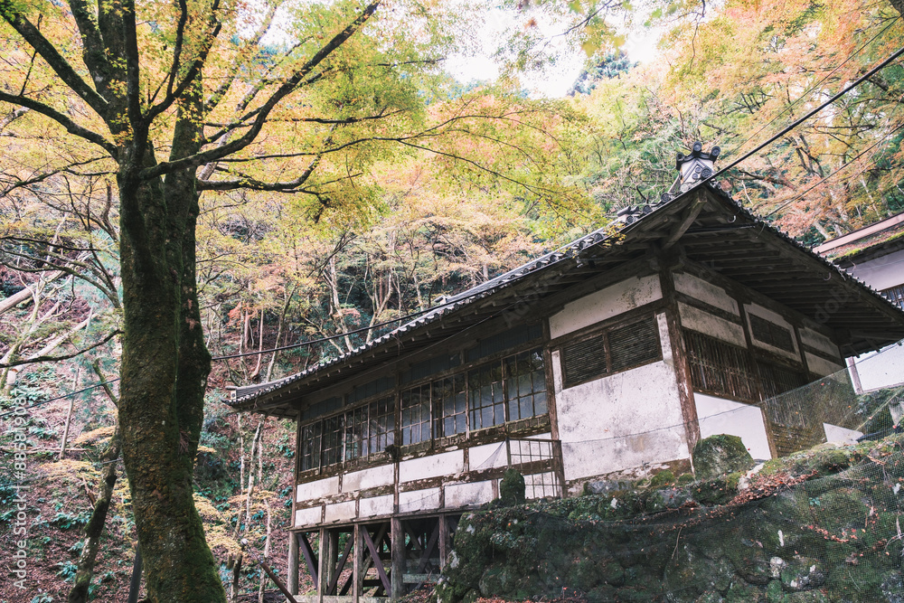 A temple with beautiful autumn foliage nestled deep in the mountains of Kyoto【Amidaji Temple】 A temple with beautiful autumn foliage nestled deep in the mountains of Kyoto【Amidaji Temple】