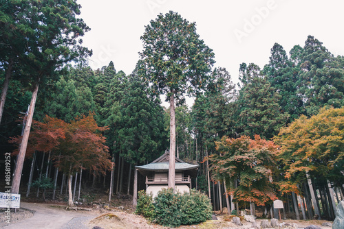 A temple with beautiful autumn foliage nestled deep in the mountains of Kyoto【Amidaji Temple】