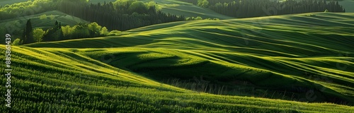 Rolling Green Hills with Sunlit Shadows