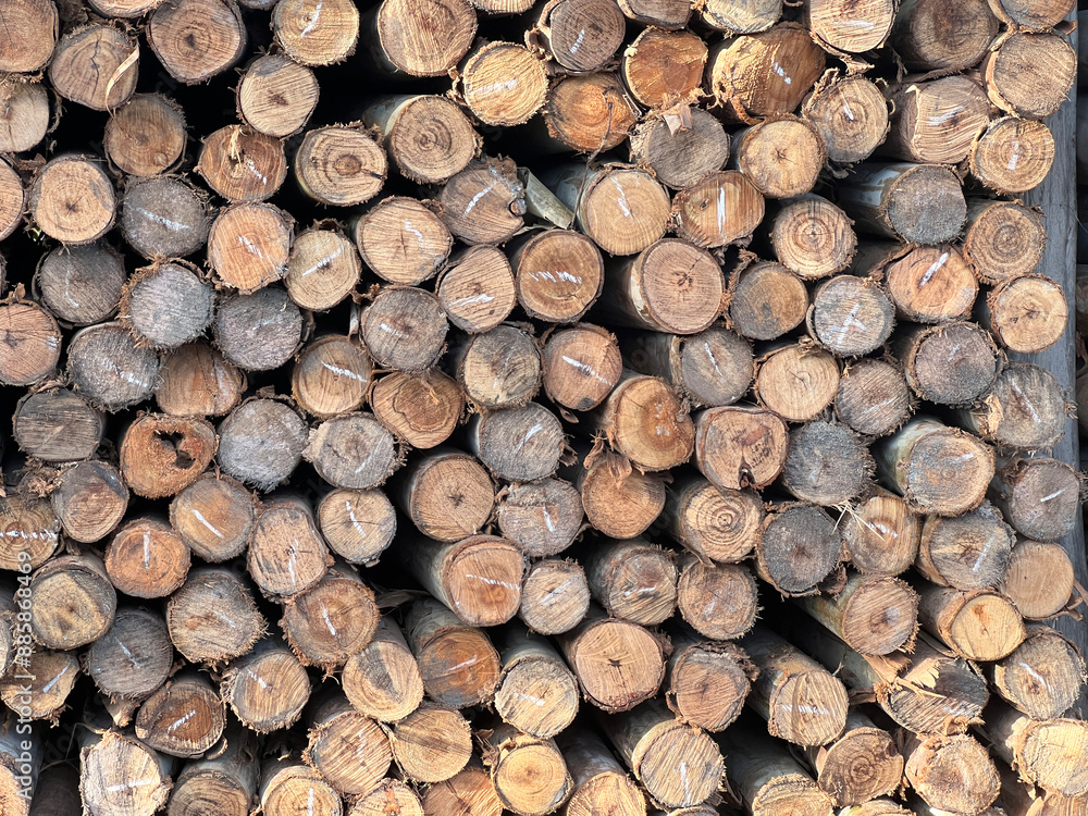 wood logs in a stack, background. wood logs in a stack, background.
