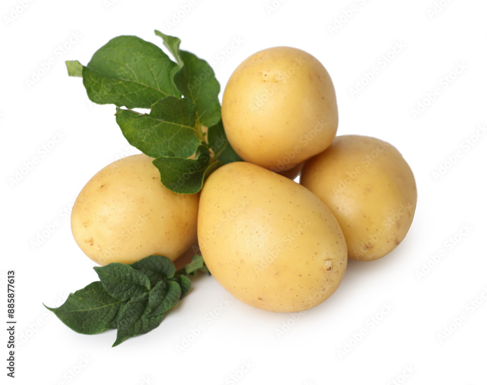 Fresh raw potatoes and green leaves isolated on white Fresh raw potatoes and green leaves isolated on white