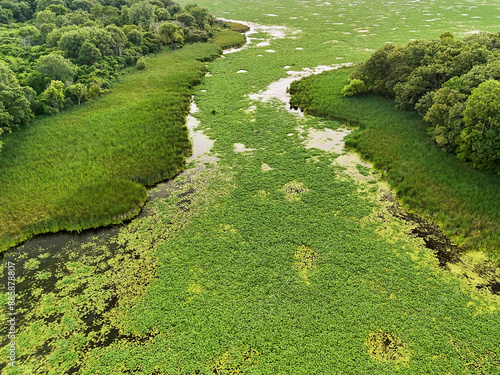 Prairie Patchwork: A Drone View of Orland Grove Nature Preserve