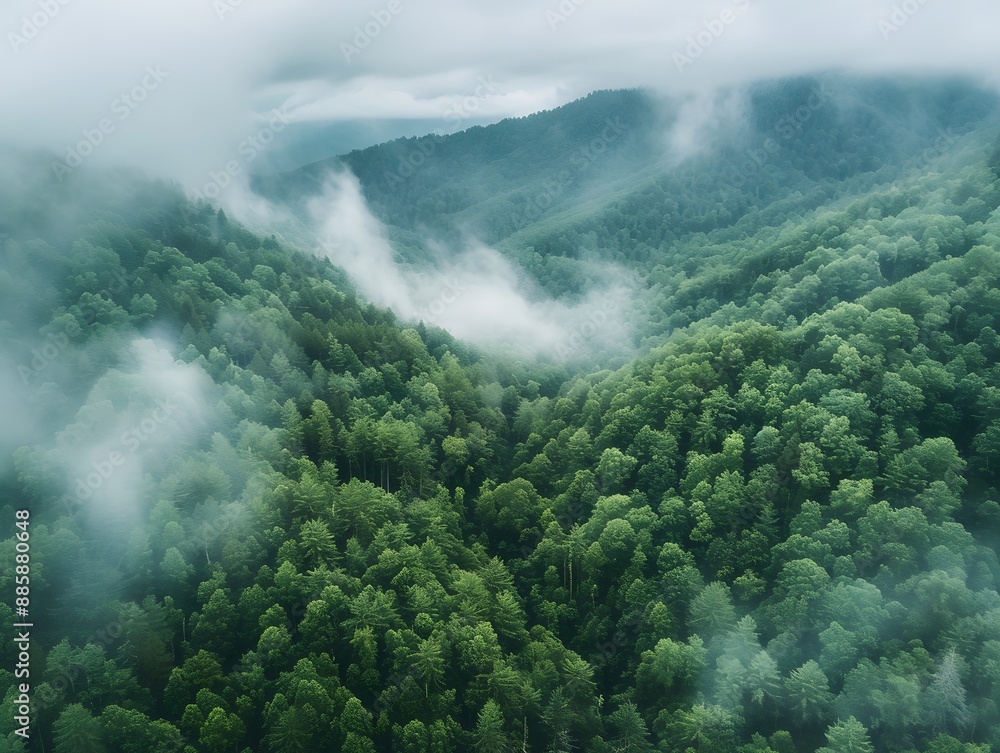Aerial View of Foggy Great Smoky Mountains Aerial View of Foggy Great Smoky Mountains