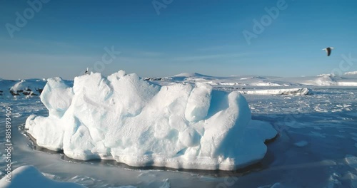 Seagull sit on ice floe in frozen ocean. Polar beauty winter landscape. Snow covered arctic panorama. Icebergs coast under blue sky. Antarctica travel and wildlife exploration. Discover South Pole