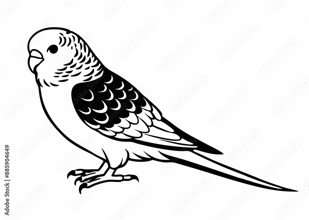 Budgerigar silhouette vector illustration Budgerigar silhouette vector illustration