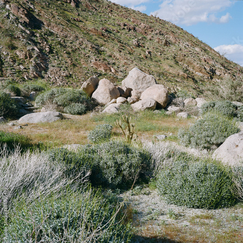 Anza Borrego, CA photo