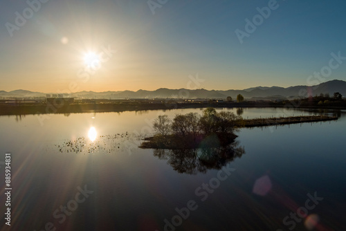 Wetland in Fog