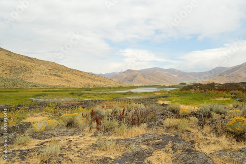 Canvas Print River Valley with Riparian Vegetation and Arid Mountains, Idaho