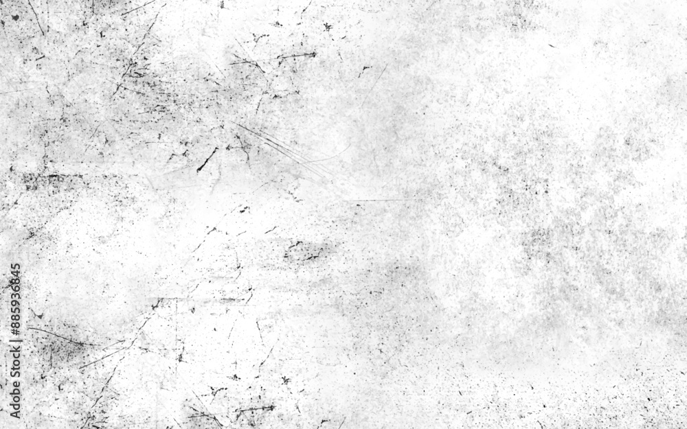 Fototapeta premium Adobe Illustrator Artwork