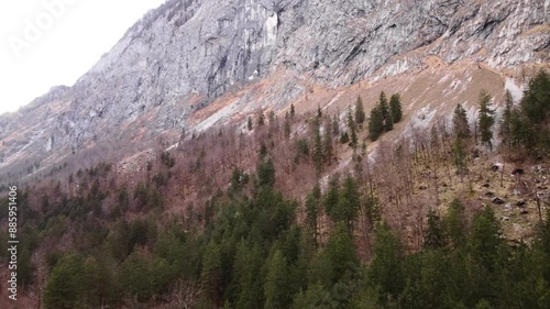 Aerial autumn or spring forest with dead trees in Austria, rocky mountain side photo