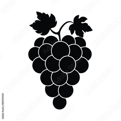 bunch of grapes illustration