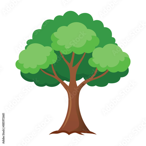 Illustration of Sycamore tree isolated on white