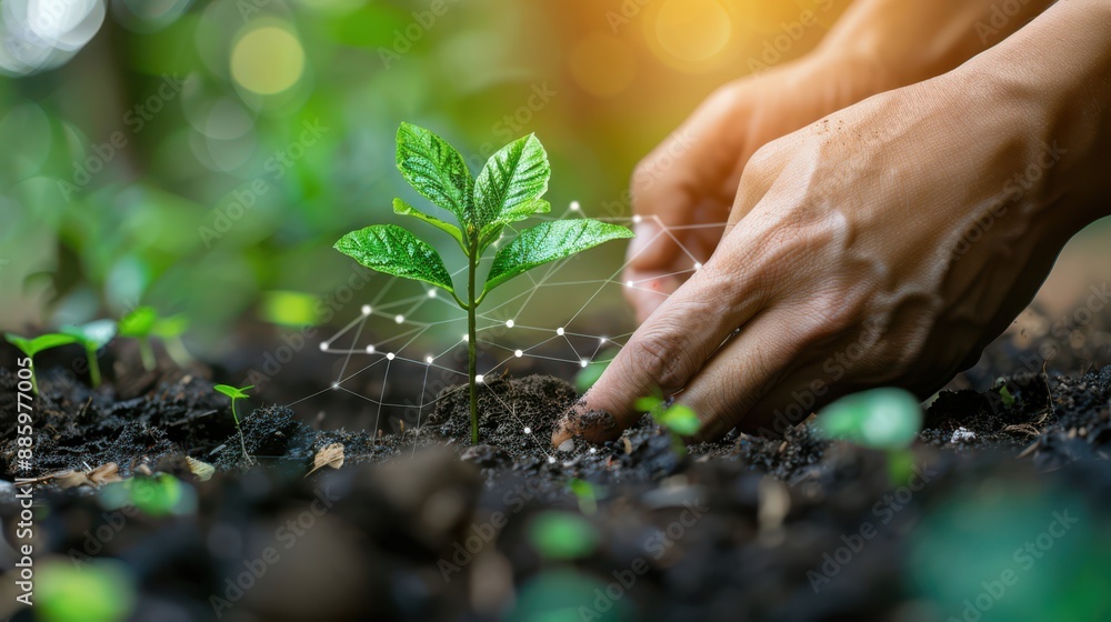Close-up of a sustainability engineer hands planting a tree, carbon footprint, copy space Close-up of a sustainability engineer hands planting a tree, carbon footprint, copy space