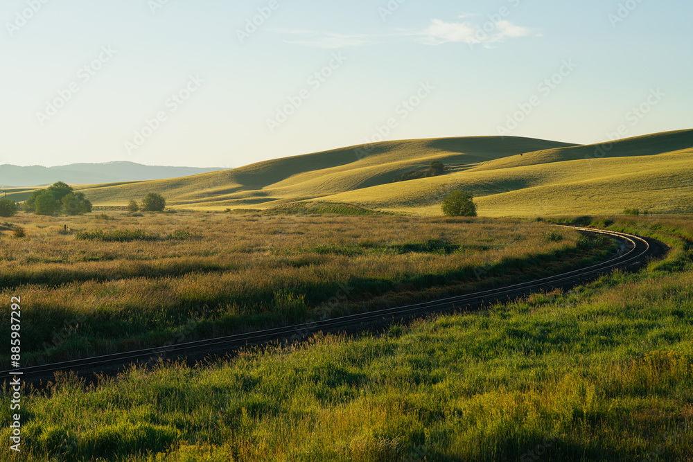 Obraz premium landscape with field