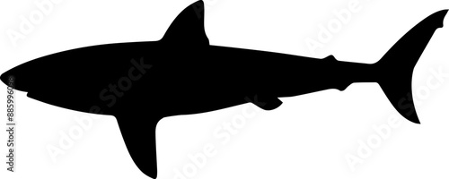A large and dangerous shark. Vector image.