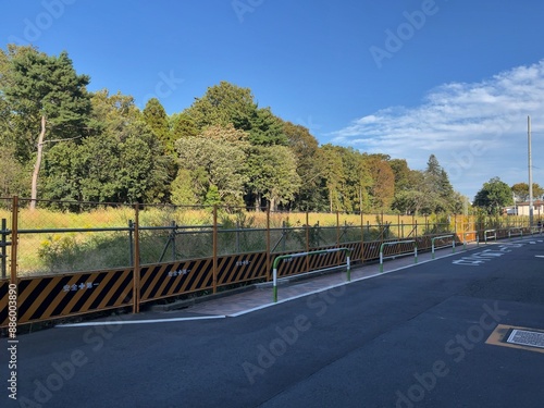 Photo of a walkway lined with trees on a clear day. There is a sidewalk running along a road surrounded by trees in Japan.