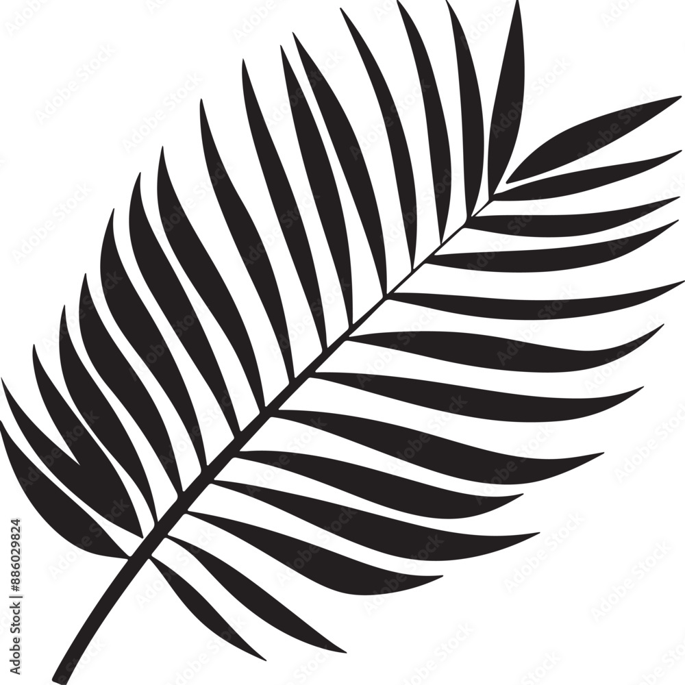 Fototapeta premium graphics, black and white drawing of a palm leaf