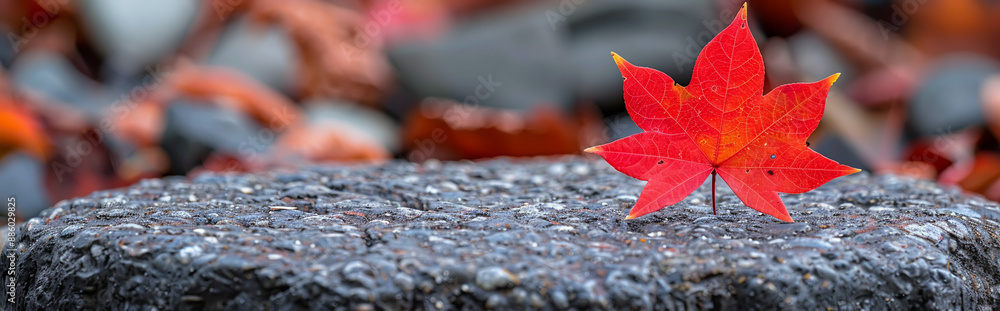 Vivid Red Maple Leaf on Textured Surface, Capturing Autumn's Beauty with Detailed Focus Vivid Red Maple Leaf on Textured Surface, Capturing Autumn's Beauty with Detailed Focus