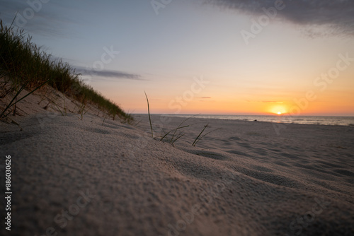 Obraz na płótnie A close-up of blades of grass with water droplets growing from a sandy beach surrounded by dunes. Sunset in the background. Baltic Sea, Poland w salonie