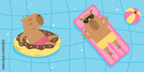 Funny capybaras floating in swimming pool
