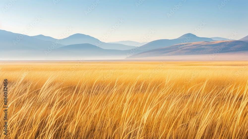 Golden grass field with distant mountains under a soft sunrise. The warm colors and serene African landscape evoke tranquility and natural beauty. Golden grass field with distant mountains under a soft sunrise. The warm colors and serene African landscape evoke tranquility and natural beauty.