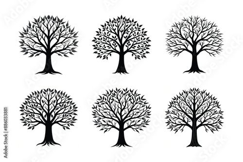 Set of Black Trees  vector silhouette 