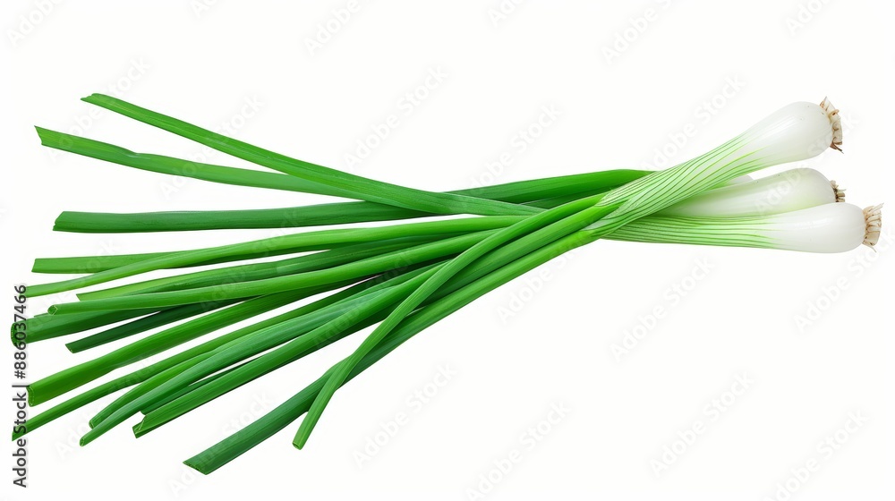 Fresh chives. green onion isolated on white background Fresh chives. green onion isolated on white background