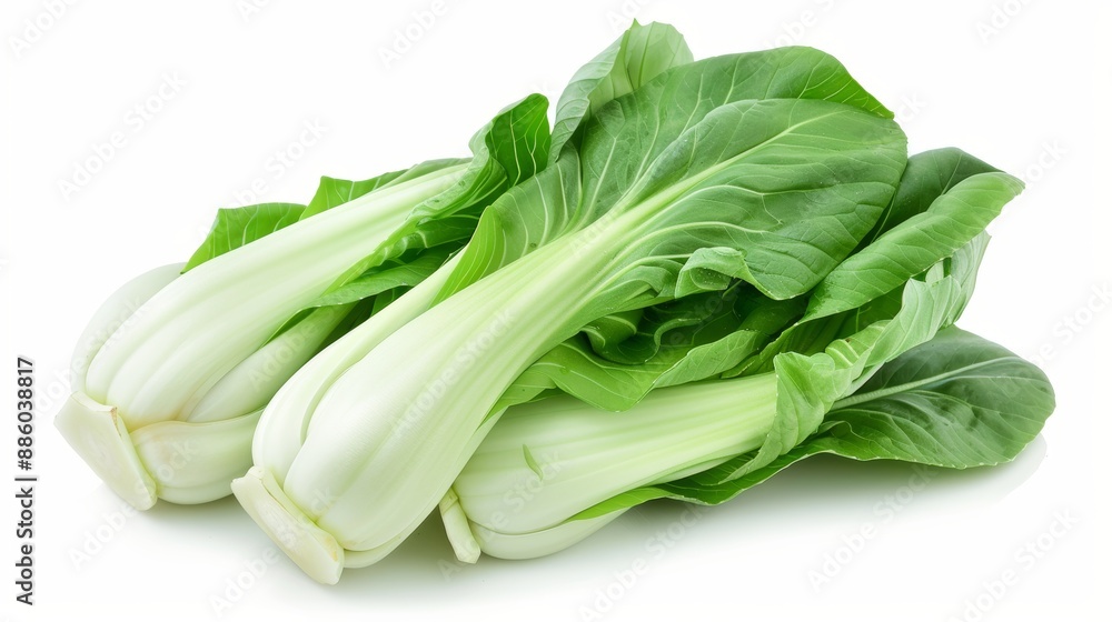 Bok choy vegetable on white background Bok choy vegetable on white background