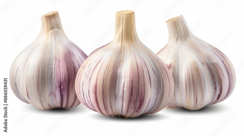 Isolated garlic. Garlic on white background. Garlic Isolated garlic. Garlic on white background. Garlic