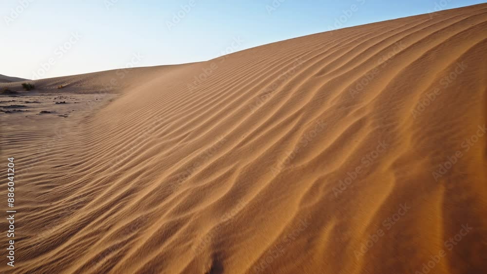 Golden sand dunes with ripples under a clear sky at sunset Golden sand dunes with ripples under a clear sky at sunset