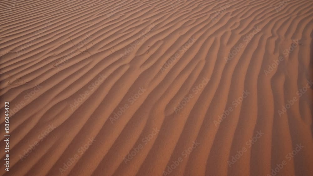 Desert sand ripples under a golden sunset, creating a mesmerizing pattern Desert sand ripples under a golden sunset, creating a mesmerizing pattern