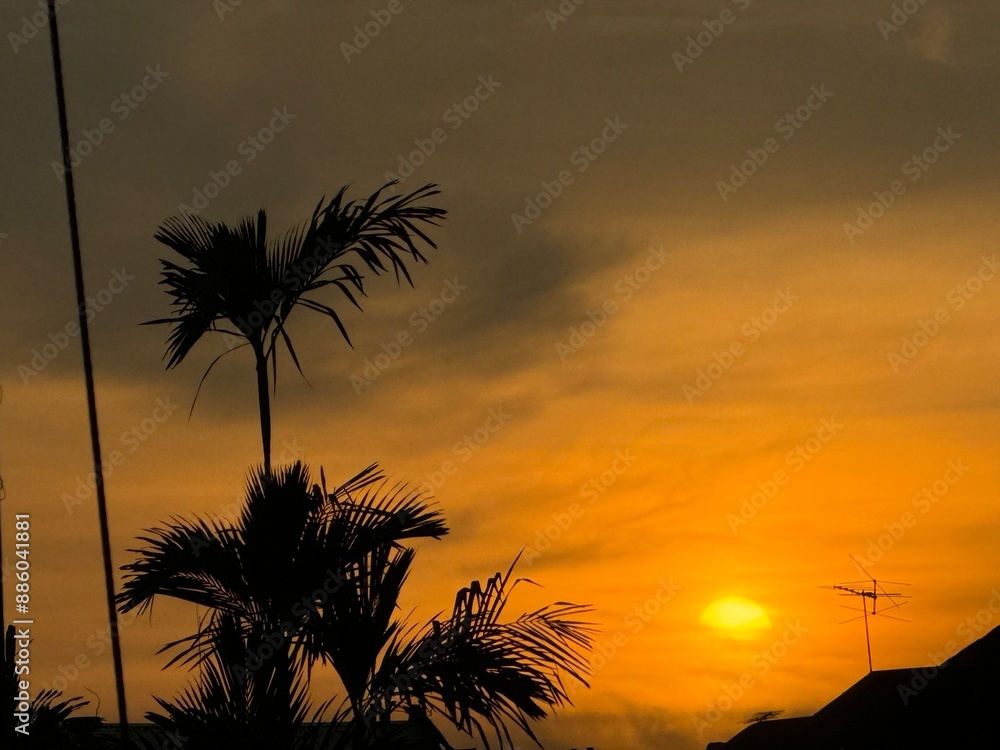 Obraz premium sunset on the beach